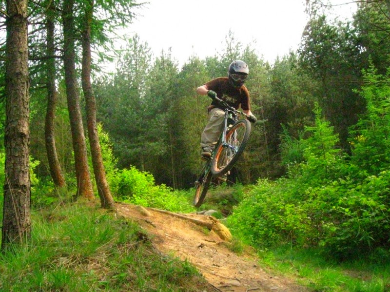 bici bici